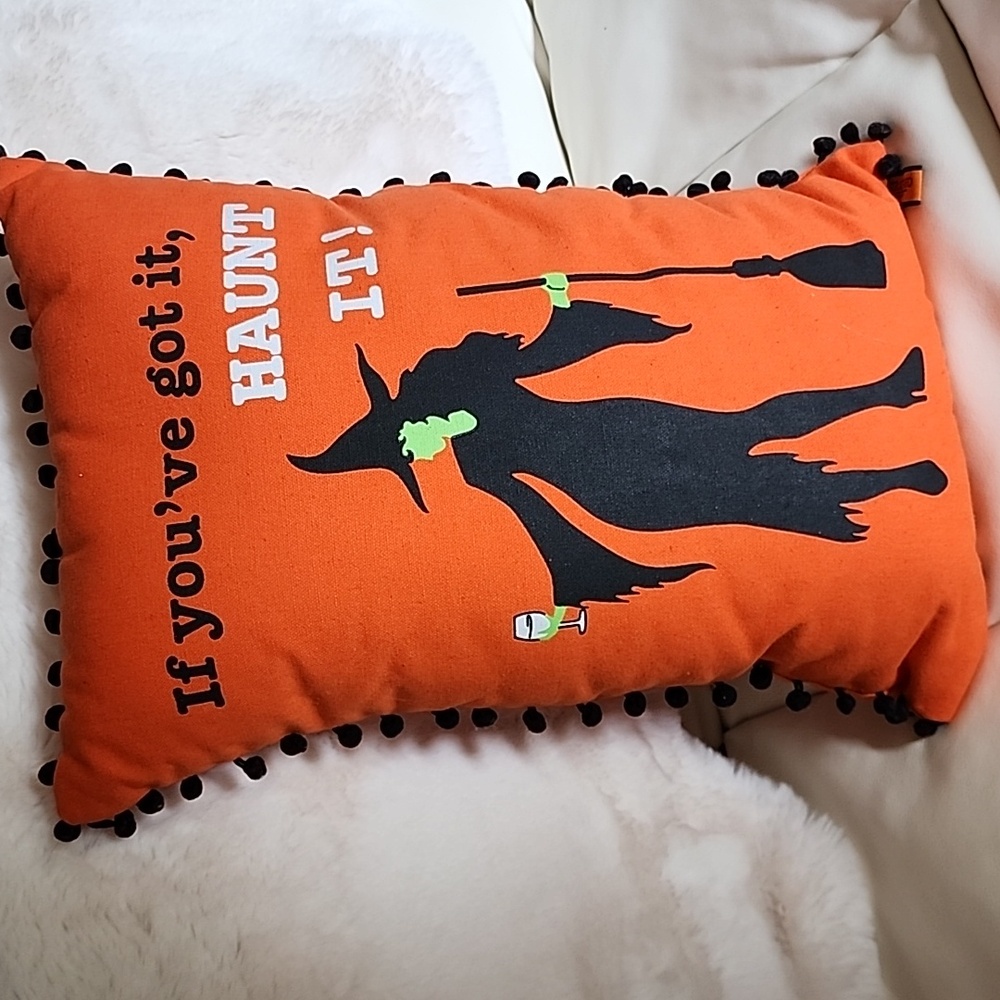 Pillow trimmed with premium Pumpoms New no tags
